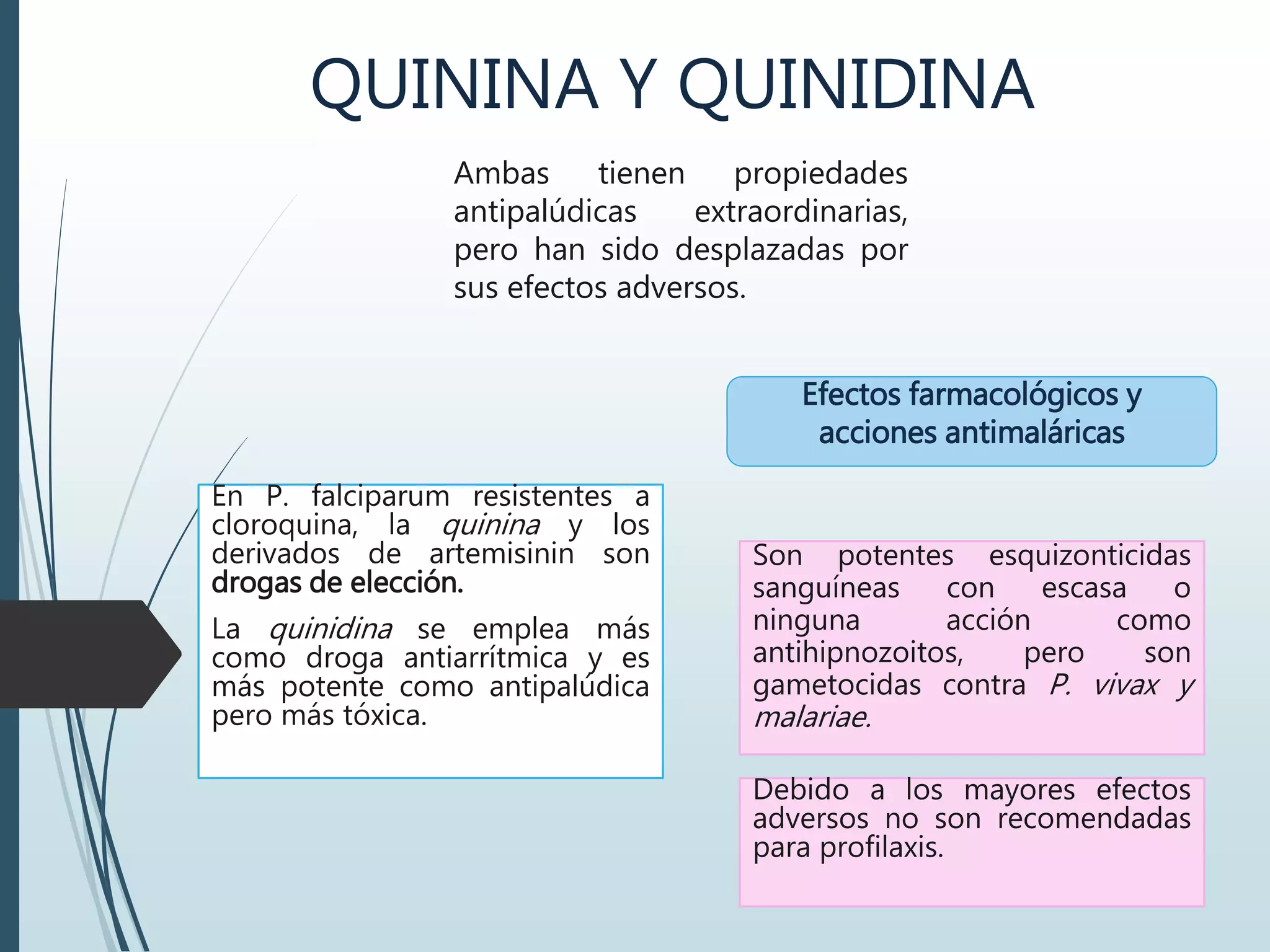 QUININA Y QUINIDINA
Ambas tienen propiedades
antipalúdicas extraordinarias,
pero han sido desplazadas por
sus efectos adversos.
Efectos farmacológicos y
acciones antimaláricas
En P. falciparum resistentes a
cloroquina, la quinina y los
derivados de artemisinin son
drogas de elección.
La quinidina se emplea más
como droga antiarrítmica y es
más potente como antipalúdica
pero más tóxica.
Son potentes esquizonticidas
sanguíneas con escasa o
ninguna acción como
antihipnozoitos, pero son
gametocidas contra P. vivax y
malariae.
Debido a los mayores efectos
adversos no son recomendadas
para profilaxis.
 