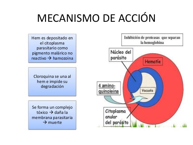 Antimalaricos Antimalaricos