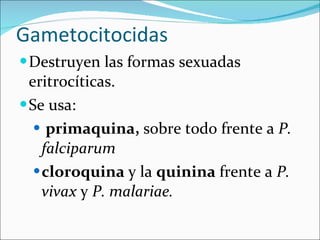 Gametocitocidas Destruyen las formas sexuadas eritrocíticas.  Se usa: primaquina,  sobre todo frente a  P. falciparum cloroquina  y la  quinina  frente a  P. vivax  y  P. malariae. 