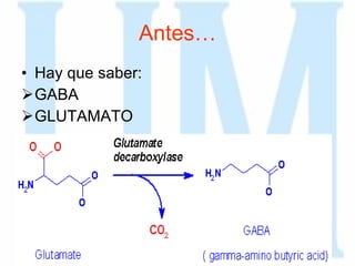 Antes… Hay que saber: GABA GLUTAMATO 