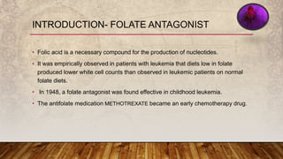 • Folic acid is a necessary compound for the production of nucleotides.
• It was empirically observed in patients with leukemia that diets low in folate
produced lower white cell counts than observed in leukemic patients on normal
folate diets.
• In 1948, a folate antagonist was found effective in childhood leukemia.
• The antifolate medication METHOTREXATE became an early chemotherapy drug.
INTRODUCTION- FOLATE ANTAGONIST
 
