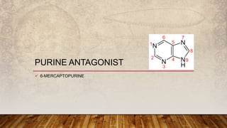 PURINE ANTAGONIST
 6-MERCAPTOPURINE
 