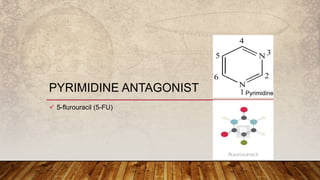 PYRIMIDINE ANTAGONIST
 5-flurouracil (5-FU)
Pyrimidine
 