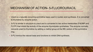 • Uracil is a naturally occurring pyrimidine base used in nucleic acid synthesis. It is converted
to thymidine by enzyme action.
• 5-FU is similar in structure to uracil and is converted to two active metabolites (FdUMP and
FUTP) that inhibit the activity of the enzyme thymidylate synthetase. The enzyme normally
converts uracil to thymidine by adding a methyl group at the fifth carbon of the pyrimidine
ring.
• 5-FU mimics the natural base and functions to inhibit DNA synthesis.
MECHANISM OF ACTION- 5-FLUOROURACIL
 