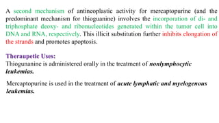 Mercaptopurine is used in the treatment of acute lymphatic and myelogenous
leukemias.
Theraupetic Uses:
Thiogunanine is administered orally in the treatment of nonlymphocytic
leukemias.
A second mechanism of antineoplastic activity for mercaptopurine (and the
predominant mechanism for thioguanine) involves the incorporation of di- and
triphosphate deoxy- and ribonucleotides generated within the tumor cell into
DNA and RNA, respectively. This illicit substitution further inhibits elongation of
the strands and promotes apoptosis.
 