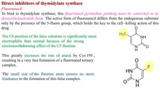 Fluorouracil
To bind to thymidylate synthase, this fluorinated pyrimidine prodrug must be converted to its
deoxyribonucleotide form. The active form of fluorouracil differs from the endogenous substrate
only by the presence of the 5-fluoro group, which holds the key to the cell -killing action of this
drug.
The C6 position of the false substrate is significantly more
electrophilic than normal because of the strong
electronwithdrawing effect of the C5 fluorine.
This greatly increases the rate of attack by Cys 195 ,
resulting in a very fast formation of a fluorinated ternary
complex.
The small size of the fluorine atom assures no steric
hindrance to the formation of this false complex.
 