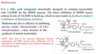 Methotrexate also is effective in inhibiting
glycine amide ribonucleotide ( G A R )
transformylase , a key enzyme in the
synthesis of purine nucleotides.
NOTE: Take note of the structural differences between
methotrexate and DHF, because these differences will be
important to an understanding of the chemical mechanism of
this anticancer agent .
Pteridine
PABA
Glutamic Acid
Methotrexate
It is a folic acid antagonist structurally designed to compete successfully
with 7,8-DHF for the DHFR enzyme. The direct inhibition of DHFR causes
cellular levels of 7,8-DHF to build up, which in turn results in feedback (indirect
) inhibition of thymidylate synthase.
 