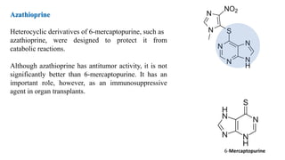 Azathioprine
Heterocyclic derivatives of 6-mercaptopurine, such as
azathioprine, were designed to protect it from
catabolic reactions.
Although azathioprine has antitumor activity, it is not
significantly better than 6-mercaptopurine. It has an
important role, however, as an immunosuppressive
agent in organ transplants.
6-Mercaptopurine
 