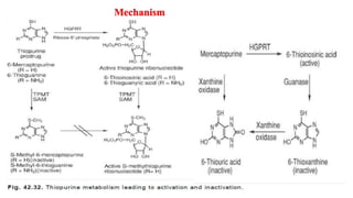 Mechanism
 