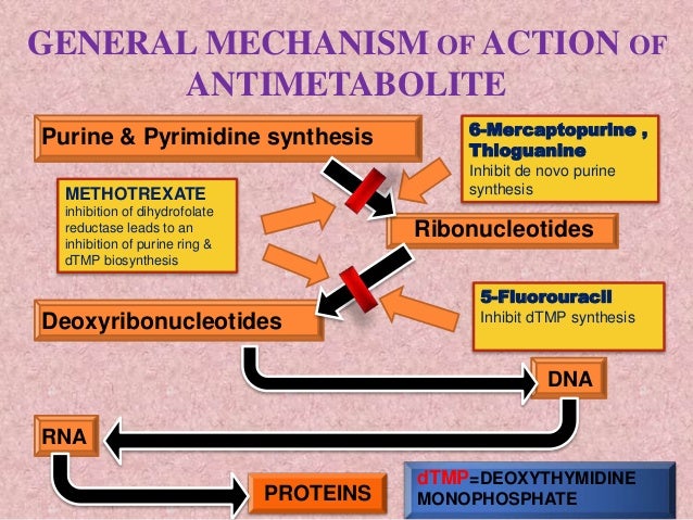 methotrexate mechanism of action