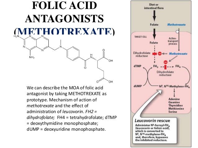 Methotrexate And Folic Acid Dosage