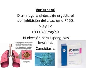VoriconazolDisminuye la síntesis de ergosterol por inhibición del citocromo P450.VO y EV 100 a 400mg/día 1º elección para aspergilosis invasora.Candidiasis. 