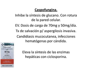 Caspofungina.Inhibe la síntesis de glucano. Con rotura de la pared celular.  EV. Dosis de carga de 70mg y 50mg/día. Tx de salvación p/ aspergilosis invasiva.Candidiasis mucocutanea, infecciones hematógenas por cándida. Eleva la síntesis de las enzimas hepáticas con ciclosporina. 