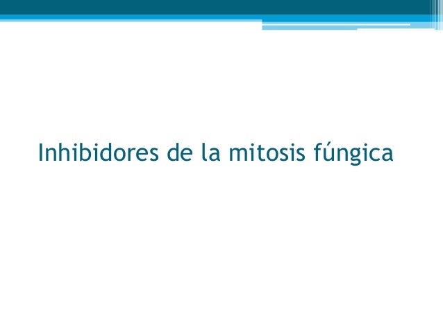 Lotseril el barniz el precio las revocaciones el análogo