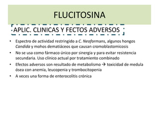 FLUCITOSINA
• Espectro de actividad restringido a C. Neoformans, algunos hongos
Candida y mohos dematiáceos que causan cromoblastomicosis
• No se usa como fármaco único por sinergia y para evitar resistencia
secundaria. Uso clínico actual por tratamiento combinado
• Efectos adversos son resultado de metabolismo  toxicidad de medula
ósea con anemia, leucopenia y trombocitopenia
• A veces una forma de enterocolitis crónica
APLIC. CLINICAS Y FECTOS ADVERSOS
 