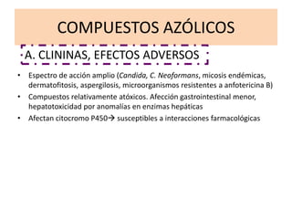 COMPUESTOS AZÓLICOS
• Espectro de acción amplio (Candida, C. Neoformans, micosis endémicas,
dermatofitosis, aspergilosis, microorganismos resistentes a anfotericina B)
• Compuestos relativamente atóxicos. Afección gastrointestinal menor,
hepatotoxicidad por anomalías en enzimas hepáticas
• Afectan citocromo P450 susceptibles a interacciones farmacológicas
A. CLININAS, EFECTOS ADVERSOS
 
