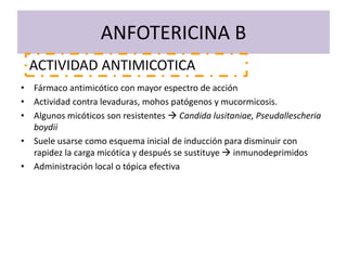 ANFOTERICINA B
• Fármaco antimicótico con mayor espectro de acción
• Actividad contra levaduras, mohos patógenos y mucormicosis.
• Algunos micóticos son resistentes  Candida lusitaniae, Pseudallescheria
boydii
• Suele usarse como esquema inicial de inducción para disminuir con
rapidez la carga micótica y después se sustituye  inmunodeprimidos
• Administración local o tópica efectiva
ACTIVIDAD ANTIMICOTICA
 