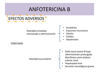 ANFOTERICINA B
TOXICIDAD
EFECTOS ADVERSOS
Toxicidad inmediata
relacionada a administración
• Escalofríos
• Espasmos musculares
• Vómito
• Cefalea
• Hipotensión
Toxicidad acumulativa
• Daño renal severo bajo
administración prolongada.
Manifiesta como acidosis
tubular renal
• Hepatopatía leve
• Secuelas neurológicas graves
 