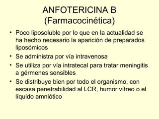 ANFOTERICINA B
(Farmacocinética)
• Poco liposoluble por lo que en la actualidad se
ha hecho necesario la aparición de preparados
liposómicos
• Se administra por vía intravenosa
• Se utiliza por vía intratecal para tratar meningitis
a gérmenes sensibles
• Se distribuye bien por todo el organismo, con
escasa penetrabilidad al LCR, humor vítreo o el
líquido amniótico
 