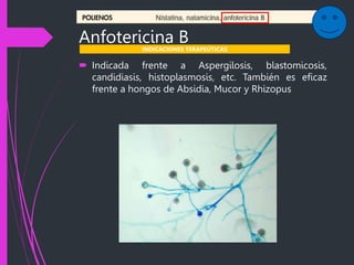 Anfotericina B
 Indicada frente a Aspergilosis, blastomicosis,
candidiasis, histoplasmosis, etc. También es eficaz
frente a hongos de Absidia, Mucor y Rhizopus
INDICACIONES TERAPEÚTICAS
 