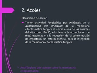 2. Azoles
Mecanismo de acción
 Tienen actividad fungistática por inhibición de la
demetilación del lanosterol de la membrana
citoplasmática fúngica al unirse a una de las enzimas
del citocromo P-450, ello lleva a la acumulación de
metil esteroles y a la reducción de la concentración
de ergosterol, un esterol esencial para la integridad
de la membrana citoplasmática fúngica.
 Antifúngicos que actúan sobre la membrana
citoplasmática
 
