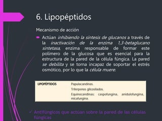 6. Lipopéptidos
Mecanismo de acción
 Actúan inhibiendo la síntesis de glucanos a través de
la inactivación de la enzima 1,3-betaglucano
sintetasa, enzima responsable de formar este
polímero de la glucosa que es esencial para la
estructura de la pared de la célula fúngica. La pared
se debilita y se torna incapaz de soportar el estrés
osmótico, por lo que la célula muere.
 Antifúngicos que actúan sobre la pared de las células
fúngicas
 