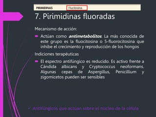 7. Pirimidinas fluoradas
Mecanismo de acción:
 Actúan como antimetabolitos. La más conocida de
este grupo es la fluocitosina o 5-fluorocitosina que
inhibe el crecimiento y reproducción de los hongos
Indiciones terapéuticas
 El espectro antifúngico es reducido. Es activo frente a
Cándida albicans y Cryptococcus neoformans.
Algunas cepas de Aspergillus, Penicillium y
zigomicetos pueden ser sensibles
 Antifúngicos que actúan sobre el núcleo de la célula
 