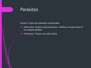 Parásitos
Existen 2 tipos de parásitos intestinales:
 Helmintos: Gusanos pluricelulares, visibles a simple vista en
sus etapas adultas
 Protozoos: Tienen una sóla célula
 