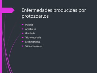 Enfermedades producidas por
protozoarios
 Malaria
 Amebiasis
 Giardasis
 Trichomoniasis
 Leishmaniasis
 Tripanosomiasis
 