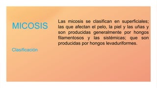 MICOSIS
Clasificación
Las micosis se clasifican en superficiales;
las que afectan el pelo, la piel y las uñas y
son producidas generalmente por hongos
filamentosos y las sistémicas; que son
producidas por hongos levaduriformes.
 