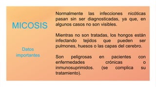 MICOSIS
Datos
importantes
Normalmente las infecciones nicóticas
pasan sin ser diagnosticadas, ya que, en
algunos casos no son visibles.
Mientras no son tratadas, los hongos están
infectando tejidos que pueden ser
pulmones, huesos o las capas del cerebro.
Son peligrosas en pacientes con
enfermedades crónicas o
inmunosuprimidos. (se complica su
tratamiento).
 