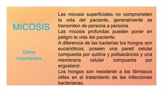 MICOSIS
Datos
importantes
Las micosis superficiales no comprometen
la vida del paciente, generalmente se
transmiten de persona a persona.
Las micosis profundas pueden poner en
peligro la vida del paciente.
A diferencia de las bacterias los hongos son
eucarióticos, poseen una pared celular
compuesta por quitina y polisacáricos y una
membrana celular compuesta por
ergosterol.
Los hongos son resistente a los fármacos
útiles en el tratamiento de las infecciones
bacterianas.
 