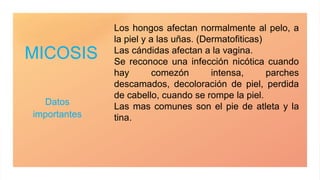 MICOSIS
Datos
importantes
Los hongos afectan normalmente al pelo, a
la piel y a las uñas. (Dermatofiticas)
Las cándidas afectan a la vagina.
Se reconoce una infección nicótica cuando
hay comezón intensa, parches
descamados, decoloración de piel, perdida
de cabello, cuando se rompe la piel.
Las mas comunes son el pie de atleta y la
tina.
 