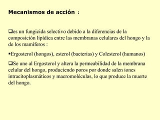 Mecanismos de acción :


es un fungicida selectivo debido a la diferencias de la
composición lipídica entre las membranas celulares del hongo y la
de los mamíferos :
Ergosterol (hongos), esterol (bacterias) y Colesterol (humanos)
Se une al Ergosterol y altera la permeabilidad de la membrana
celular del hongo, produciendo poros por donde salen iones
intracitoplasmáticos y macromoléculas, lo que produce la muerte
del hongo.
 