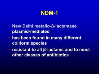 Antimicrobial-Resistance-in-Gram-Negative-Bacilli-SLIDES.pptx