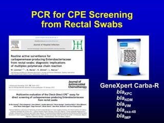 Antimicrobial-Resistance-in-Gram-Negative-Bacilli-SLIDES.pptx