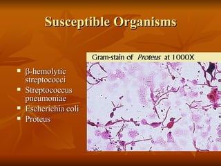 Susceptible Organisms  -hemolytic streptococci Streptococcus pneumoniae Escherichia coli Proteus 