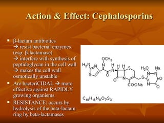 Action & Effect: Cephalosporins  -lactam antibiotics    resist bacterial enzymes  (esp.   -lactamase)    interfere with synthesis of peptidoglycan in the cell wall    makes the cell wall osmotically unstable Are bacteriCIDAL    more effective against RAPIDLY growing organisms RESISTANCE: occurs by hydrolysis of the beta-lactam ring by beta-lactamases Cephtriaxone 