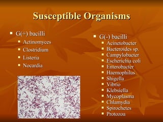 Susceptible Organisms G(+) bacilli Actinomyces Clostridium Listeria Nocardia G(-) bacilli Acinetobacter Bacteroides sp. Campylobacter Escherichia coli Enterobacter Haemophilus Shigella Vibrio  Klebsiella Mycoplasma Chlamydia Spirochetes  Protozoa 