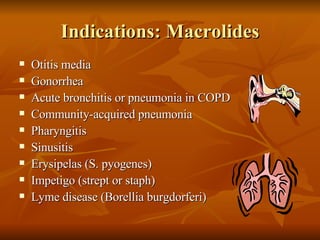 Indications: Macrolides Otitis media Gonorrhea Acute bronchitis or pneumonia in COPD Community-acquired pneumonia Pharyngitis Sinusitis Erysipelas (S. pyogenes) Impetigo (strept or staph) Lyme disease (Borellia burgdorferi) 