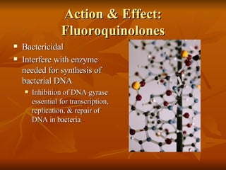 Action & Effect: Fluoroquinolones Bactericidal Interfere with enzyme needed for synthesis of bacterial DNA Inhibition of DNA gyrase essential for transcription, replication, & repair of DNA in bacteria 