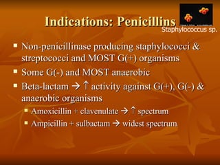 Indications: Penicillins Non-penicillinase producing staphylococci & streptococci and MOST G(+) organisms Some G(-) and MOST anaerobic Beta-lactam       activity against G(+), G(-) & anaerobic organisms Amoxicillin + clavenulate       spectrum Ampicillin + sulbactam    widest spectrum Staphylococcus sp. 