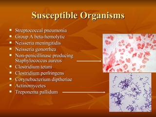 Susceptible Organisms Streptococcal pneumonia Group A beta-hemolytic Neisseria meningitidis Neisseria gonorrhea Non-penicillinase producing Staphylococcus aureus Clostridium tetani Clostridium perfringens Corynebacterium diptheriae Actinomycetes Treponema pallidum 