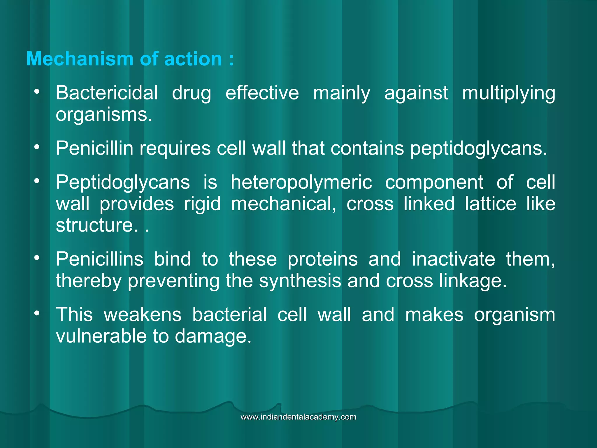 Mechanism of action :
• Bactericidal drug effective mainly against multiplying
organisms.
• Penicillin requires cell wall that contains peptidoglycans.
• Peptidoglycans is heteropolymeric component of cell
wall provides rigid mechanical, cross linked lattice like
structure. .
• Penicillins bind to these proteins and inactivate them,
thereby preventing the synthesis and cross linkage.
• This weakens bacterial cell wall and makes organism
vulnerable to damage.
www.indiandentalacademy.comwww.indiandentalacademy.com
 