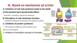 III. Based on mechanism of action
A. Inhibition of cell wall synthesis leads to the death
of the bacteria lysis (bactericidal effect)
penicillin, cycloserine, vancomycin, bacitracin
B. Disruption of cell membrane function
polymyxin (polymyxin B, polymyxin E), polyenes, nystatin
C. Inhibition of protein synthesis:
This antibiotics inhibit one of the reactions in the
process of transcription
1. Inhibition of translation process of microbes
 
