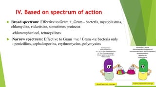 IV. Based on spectrum of action
 Broad spectrum: Effective to Gram +, Gram - bacteria, mycoplasmas,
chlamydiae, rickettsiae, sometimes protozoa
-chloramphenicol, tetracyclines
 Narrow spectrum: Effective to Gram +ve / Gram -ve bacteria only
- penicillins, cephalosporins, erythromycins, polymyxins
 