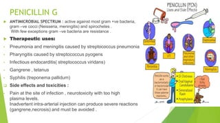 PENICILLIN G
 ANTIMICROBIAL SPECTRUM : active against most gram +ve bacteria,
gram –ve cocci (Neisseria, meningitis) and spirochetes .
With few exceptions gram –ve bacteria are resistance .
 Therapeutic uses:
• Pneumonia and meningitis caused by streptococcus pneumonia
• Pharyngitis caused by streptococcus pyogens
• Infectious endocarditis( streptococcus viridans)
• Gangrene , tetanus
• Syphilis (treponema pallidum)
 Side effects and toxicities :
• Pain at the site of infection , neurotoxicity with too high
plasma levels.
Inadvertent intra-arterial injection can produce severe reactions
(gangrene,necrosis) and must be avoided .
 