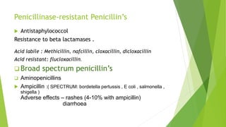 Penicillinase-resistant Penicillin’s
 Antistaphylococcol
Resistance to beta lactamases .
Acid labile : Methicillin, nafcillin, cloxacillin, dicloxacillin
Acid resistant: flucloxacillin.
 Broad spectrum penicillin’s
 Aminopenicillins
 Ampicillin :( SPECTRUM: bordetella pertussis , E coli , salmonella ,
shigella )
Adverse effects – rashes (4-10% with ampicillin)
diarrhoea
 