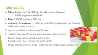 Macrolides
 MOA: bind to the 23S rRNA in the 50S subunit ribosome
inhibiting protein synthesis
 Dose: 250-500 mg/day x 5-10 days
 anti bacterial spectrum – similar to penicillin (against gram+ve bacteria
and against some gram-ve )
 against penicillin resistant staphylococci.
 partially destroyed by gastric juice, (enteric coated tablets)
• Various preparation- enteric coated tablets
Estolate form (most resistant by gastricacid)
• Drugs belonging to this group- erythromycin, olindomycin, Spiramycin
 