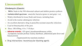 Lincosamides
Clindamycin (Cleocin)
 MOA: binds to the 50S ribosomal subunit and inhibits protein synthesis
 Antimicrobial spectrum : anaerobic bacteria (gram-ve and gram +ve)
 Widely distributed in tissue fluids and tissues, including bone.
 Avoid in the routine odontogenic infection
 An excellent alternative drug in penicillin-resistant anaerobic infections
 Used in Osteomyelitis of the jaws
 Dose: 100-450mg 6 h x 7-10 days
 Adverse events: -GI upset, pseudomembranous colitis
(symptoms include profuse watery diarrhoea ,abdominal pain fever and
leucocytosis)
- hypersensitivity reactions (rashes)
 Drug interactions: neuromuscular blocking agents
 